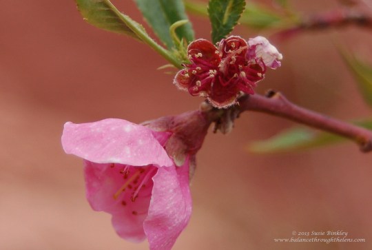 ??????????????????????????????????????????????????????????